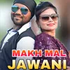 About Makh Mal Jawani Song